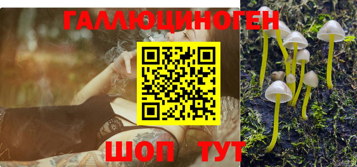 Галлюциногенные грибы Psilocybe Елизово