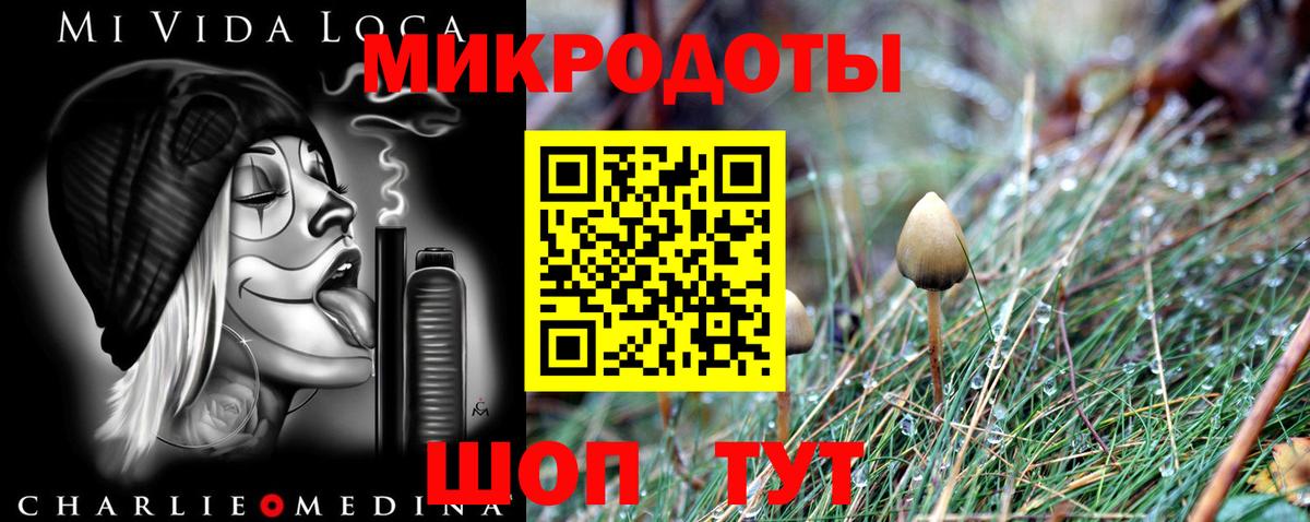 Псилоцибиновые грибы ЛСД  Вход с VPN  Елизово 